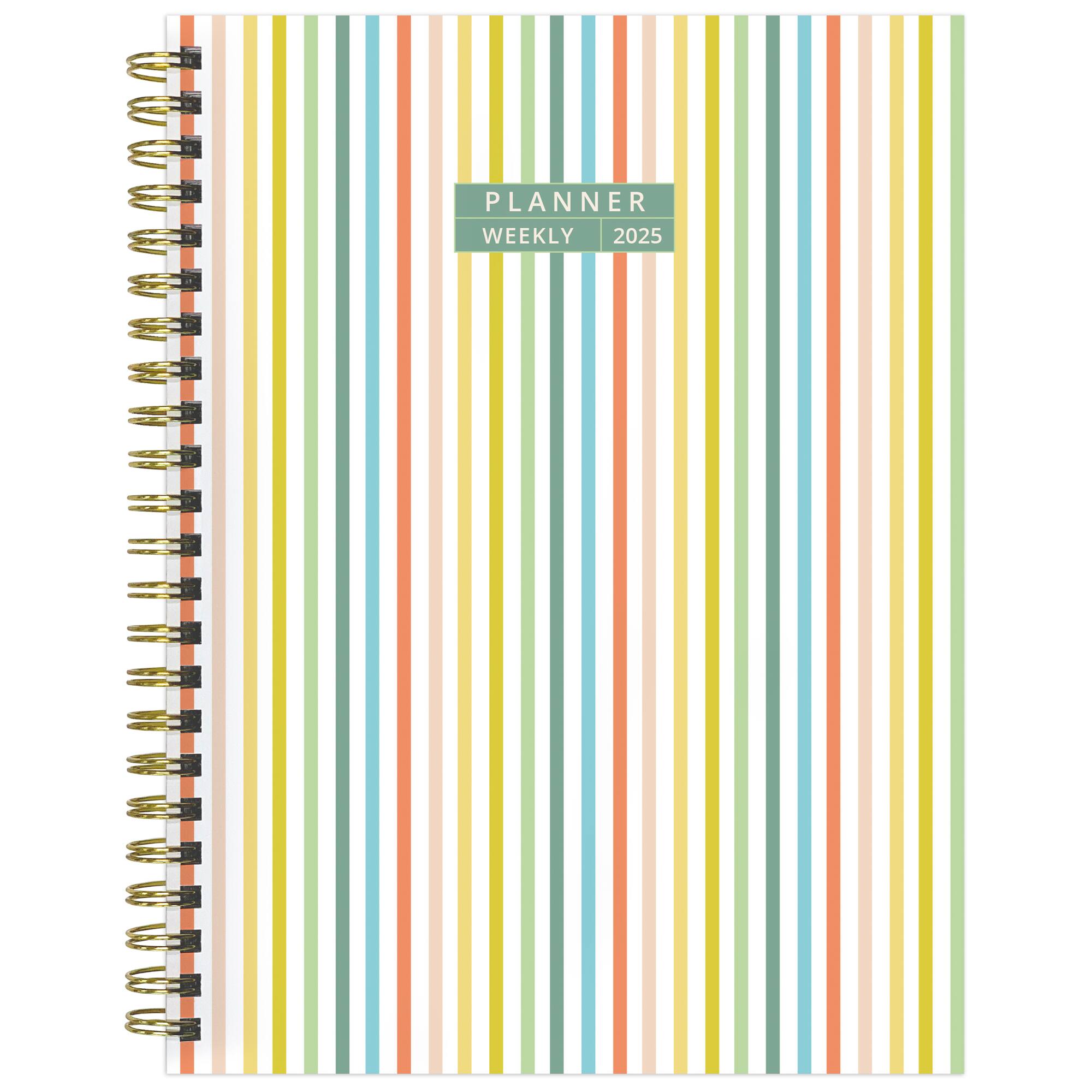 TF Publishing 2025 Medium Malibu Stripes Weekly Monthly Spiral Planner